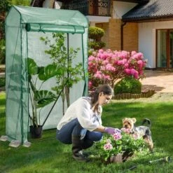 Costway 39'' X 20'' X 67'' Walk-in Garden Greenhouse Hot House Tomato Plant Warm House 11 Costway 39'' X 20'' X 67'' Walk-in Garden Greenhouse Hot House Tomato Plant Warm House -Costway GUEST 0aa22169 6671 4f1a bfef 49fc81d1a350