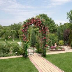 Costway Garden Arch Arbor Trellis With Gate 7.5 Ft Patio Archway Pergola For Wedding 11 Costway Garden Arch Arbor Trellis With Gate 7.5 Ft Patio Archway Pergola For Wedding -Costway GUEST 0c890e14 7a7e 481b 831b caf9f5e8ef0a