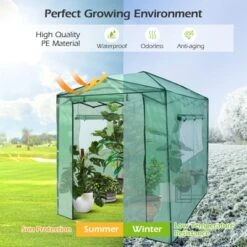 Costway 6'x 8' Portable Walk-in Greenhouse Pop-up Folding Plant Gardening W/Window 14 Costway 6'x 8' Portable Walk-in Greenhouse Pop-up Folding Plant Gardening W/Window -Costway GUEST 2942a700 4cf5 4167 8506 77d0e8032a12