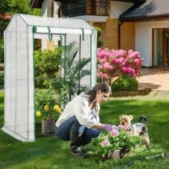 Costway 39'' X 32'' X 59'' Walk-in Garden Greenhouse Warm House For Plant Growing 11 Costway 39'' X 32'' X 59'' Walk-in Garden Greenhouse Warm House For Plant Growing -Costway GUEST 6d3c9cf4 5472 4b69 bc7c 58d02893f9a1