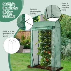 Costway 39'' X 20'' X 67'' Walk-in Garden Greenhouse Hot House Tomato Plant Warm House 15 Costway 39'' X 20'' X 67'' Walk-in Garden Greenhouse Hot House Tomato Plant Warm House -Costway GUEST 77b67193 d9cd 47ee 9954 275feba29e14