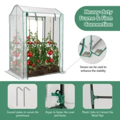 Costway 39'' X 32'' X 59'' Walk-in Garden Greenhouse Warm House For Plant Growing 16 Costway 39'' X 32'' X 59'' Walk-in Garden Greenhouse Warm House For Plant Growing -Costway GUEST 87d36aed fd42 4e0e b23c ead34d12e8e4