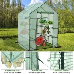 Costway Walk-in Greenhouse 56''x56''x77'' Gardening W/Observation Windows 2 Tier 8 Shelves 12 Costway Walk-in Greenhouse 56''x56''x77'' Gardening W/Observation Windows 2 Tier 8 Shelves -Costway GUEST d22d611f 8693 4078 bc9d 69289c7fe628