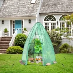 Costway 5.5'x 5.5'x 6' Portable Mini Garden Greenhouse With Window & Roll-up Zippered Door 14 Costway 5.5'x 5.5'x 6' Portable Mini Garden Greenhouse With Window & Roll-up Zippered Door -Costway GUEST e055401c 0974 4071 b602 b1da98779109